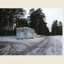 Фермер із Чернігівщини виробляє олію без канцерогенів і консервантів