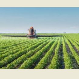 Кому і чому невигідний мораторій на продаж землі