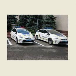 Правопорушники не здійснили своїх планів завдяки діям поліції охорони