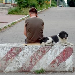 Люди – звірі: собаку, якого підвисили за шию металевим дротом, катували