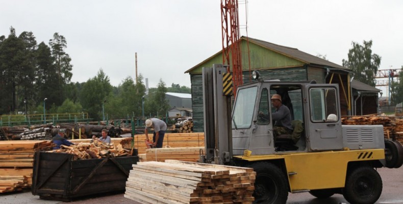 Війна за ресурси у лісогосподарській сфері триває на Чернігівщині
