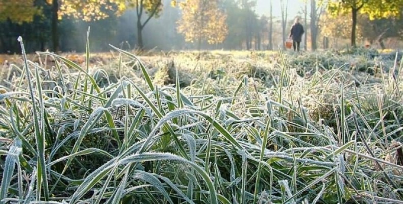 У вихідні на Чернігівщині вночі очікується мороз до 7 градусів