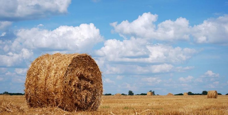 Як дітям успадкувати земельний пай своїх батьків?