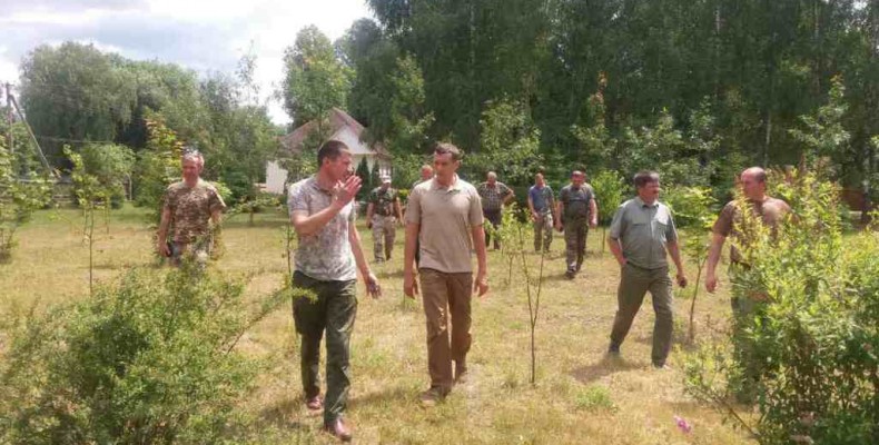 Заготовляти ліс будуть під контролем — в режимі он-лайн