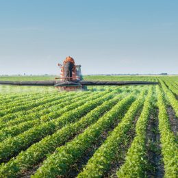 Більшість учасників «Свободи слова» — проти продажу землі