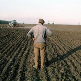 Столичній рейдерській фірмі не вдалося заволодіти поліською землею