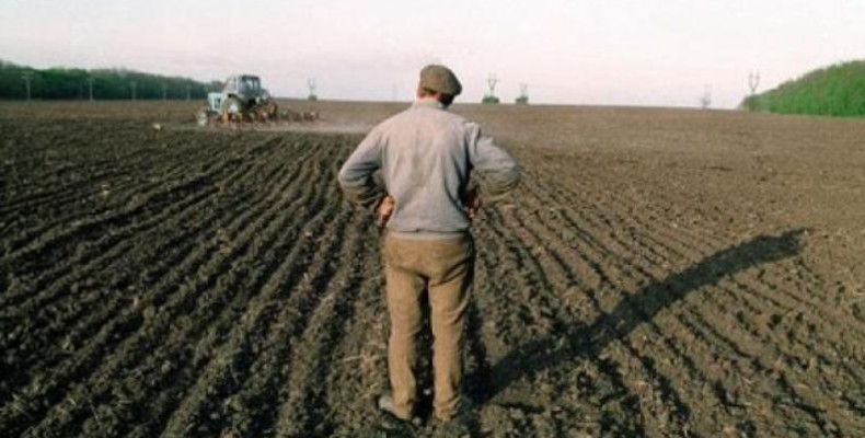 Депутату не вдалося виділити землю своєму родичу
