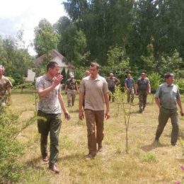 Заготовляти ліс будуть під контролем — в режимі он-лайн