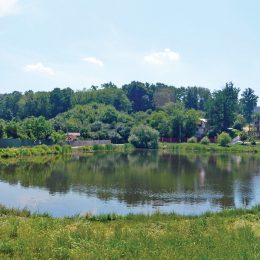 Чернігів потребує змін – заява партії «Батьківщина»