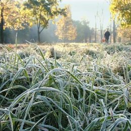 Сучасні лазівки потрапляння предметів до СІЗО