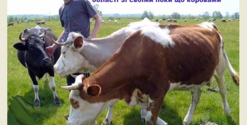 Що важливіше: солярка чи молоко, або Чому міліють молочні ріки?