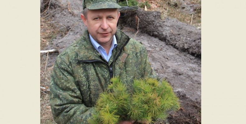 Чи відтворяться ліси на Чернігівщині?