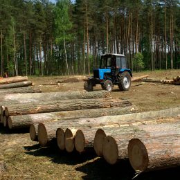 Подвійне життя агента. Жіночі історії Другої Світової