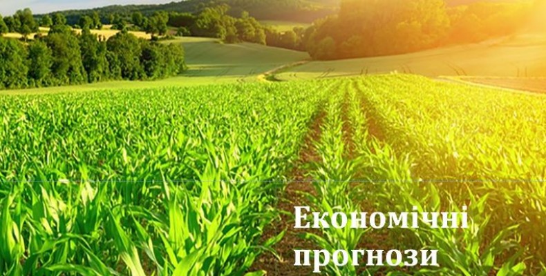 Що має знати власник землі у зв’язку зі скасуванням мораторію
