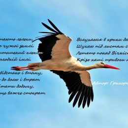 Летять понад Вічність лелеки крізь наші тривоги й роки