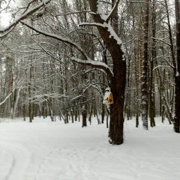 Чернігівська Ялівщина потребує комплексного бачення й рішення