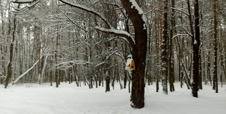 Чернігівська Ялівщина потребує комплексного бачення й рішення