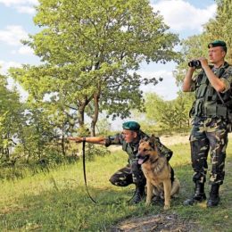 Що діється на північному українсько-російському кордоні