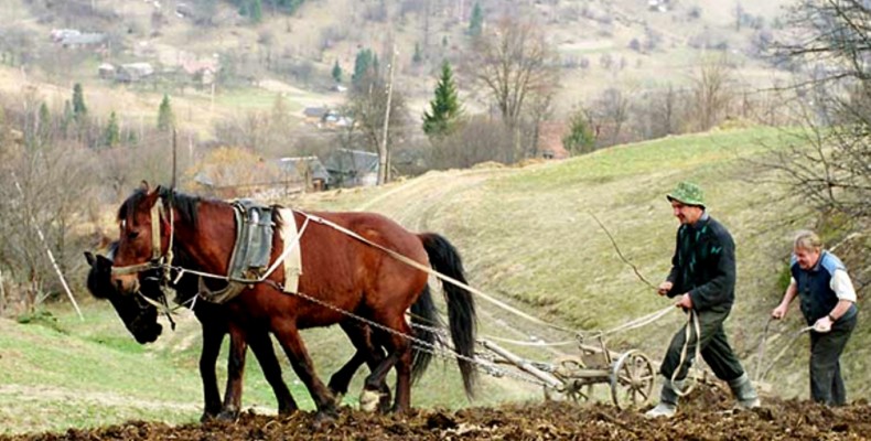 Українці створили аграрну цивілізацію у прекрасній країні