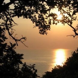 Байдужість — це некроз