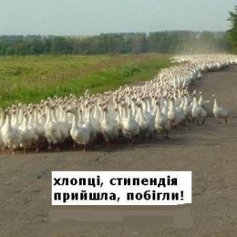 На Чернігівщині розпочали акцію за справедливі стипендії