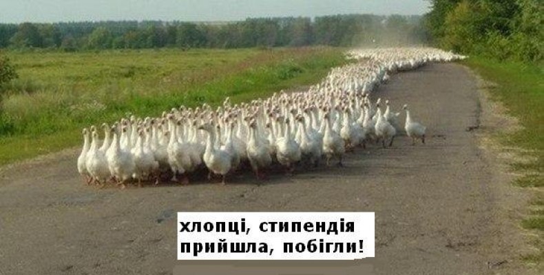 На Чернігівщині розпочали акцію за справедливі стипендії