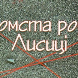 «Помста роду Лисиці». Новий роман письменника зі Швеції Ак Вельсапара