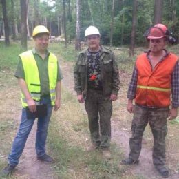 Ніжинському лісовому господарству підтвердили сертифікацію