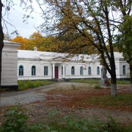 Садибу Лизогубів у Седнєві терміново треба рятувати!