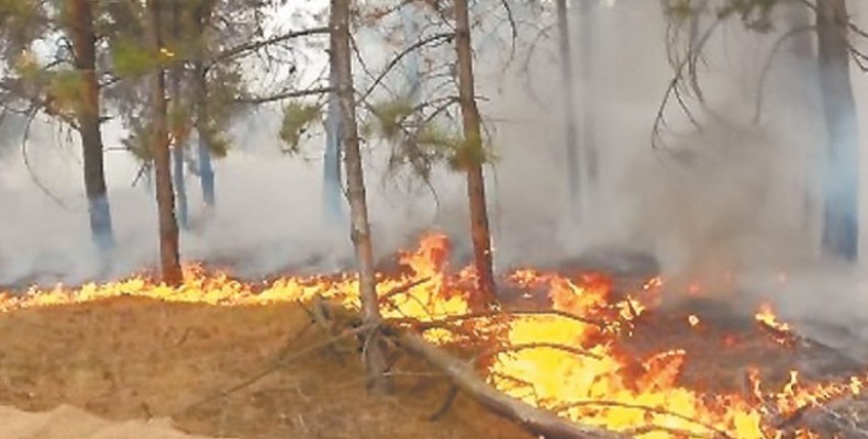 Військові на вертольоті Мі-8 допомогли гасити пожежу