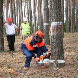Професійний конкурс лісорубів відбувся на Чернігівщині
