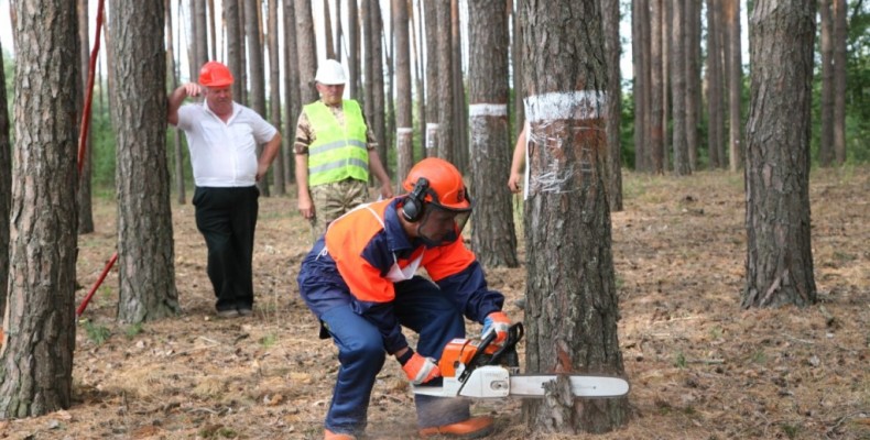 Професійний конкурс лісорубів відбувся на Чернігівщині