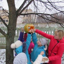 Підгодівля птахів взимку — багаті врожаї влітку