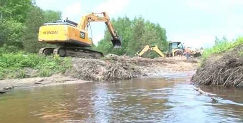 Деснянське басейнове управління розчищає водні мережі