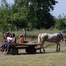 Як ламають стереотипи життя у Батуринській територіальній громаді