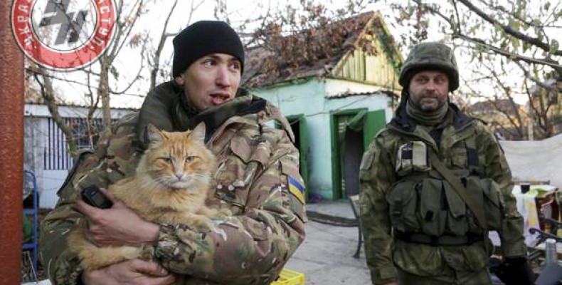 Тривожний Схід. І котам буває непереливки від жахіття війни