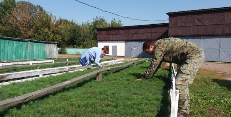 Для ніжинських лісівників — у розпалі інвентаризація лісових культур
