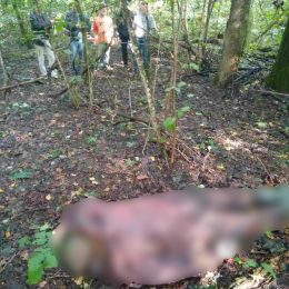 Детектор брехні допоміг поліцейським знайти вбивцю грибника
