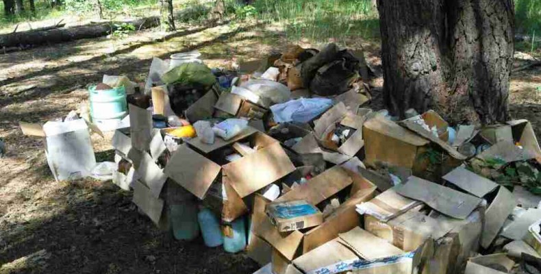 Коробки з невідомими речовинами виявлено у лісі на Чернігівщині