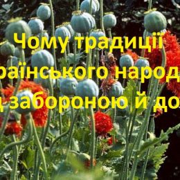 Поліція вимушена виконувати дурнуваті закони, втрачаючи свій авторитет