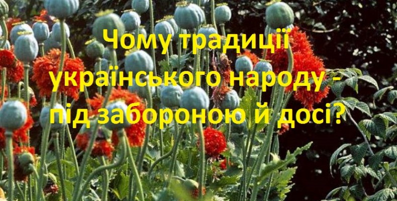 Поліція вимушена виконувати дурнуваті закони, втрачаючи свій авторитет