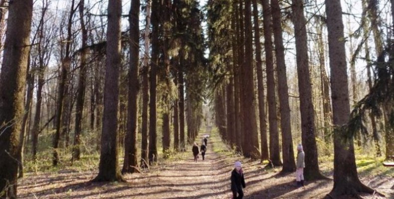 Сьогодні — День заповідників і національних парків