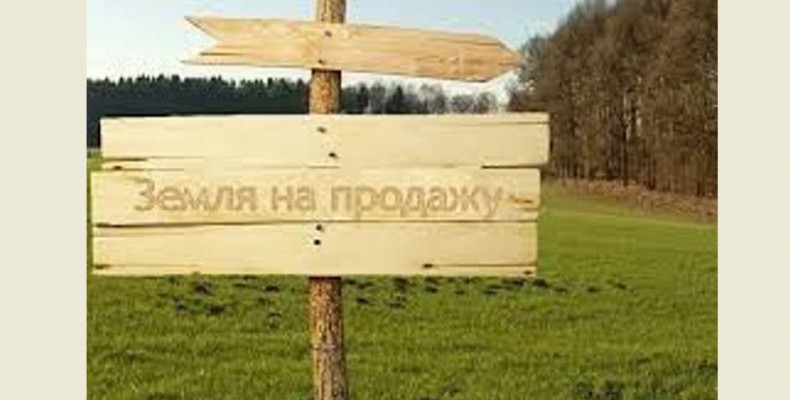 Прямий продаж землі – життєспроможний варіант земельної реформи