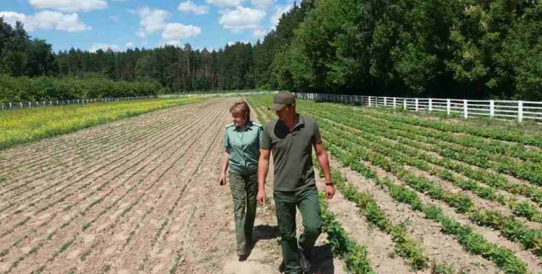 На Ніжинщині по-справжньому дбають і про майбутні ліси