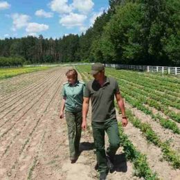 На Ніжинщині по-справжньому дбають і про майбутні ліси