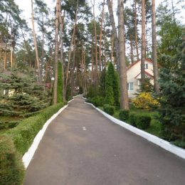Санаторне лікування після переходу на адресність збільшилось на 29%