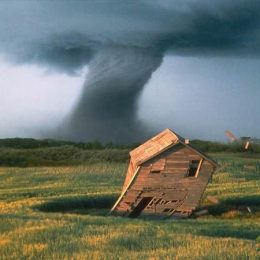 Уряд може знищити село — аграрії Чернігівщини