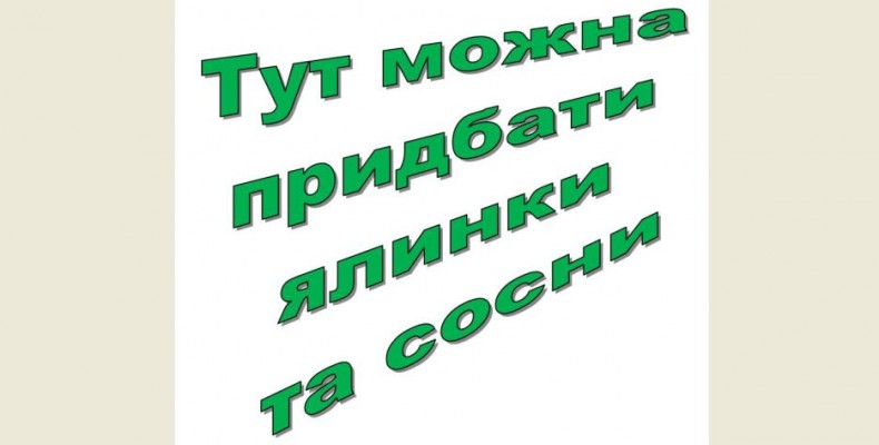 Загадкові чарівниці — неодмінні супутниці новорічних свят