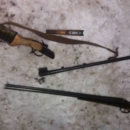 Браконьєри розперезалися — вже нападають і стріляють у лісівників