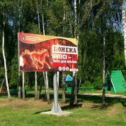 Оштрафували чоловіка за випалювання трави. Шкода, що штраф не значний